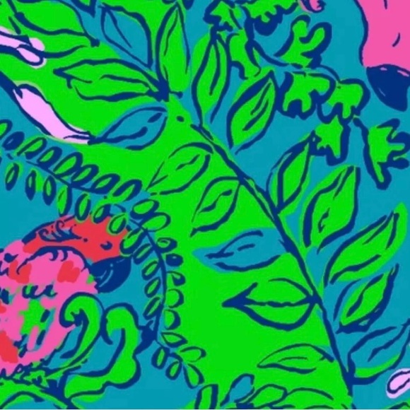 Lilly Pulitzer Joanna Empire Waist Maxi Dress in Shake Your Tail Feathers - Picture 5 of 13